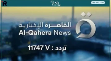 المصداقية أولاً.. كيف تحافظ قنوات التغطية الإخبارية على أمانة نقل الأخبار في القاهرة؟